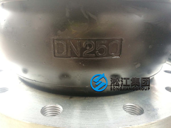 DN250氟橡膠軟接頭發往福清市現場